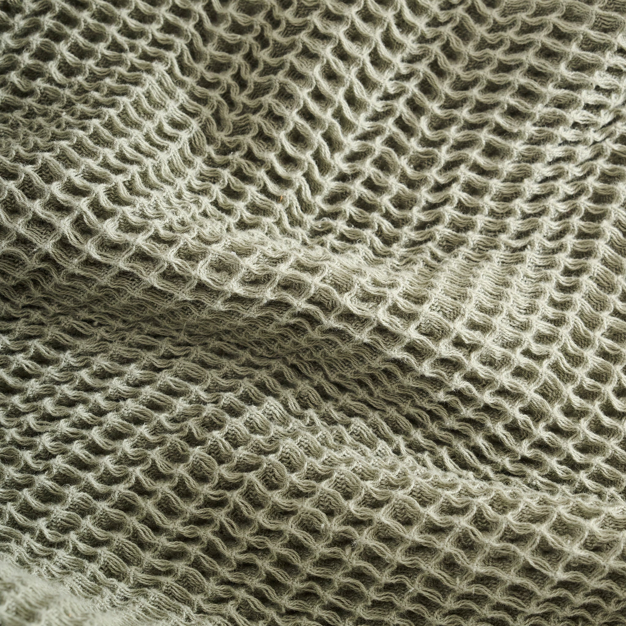 Sea Sponge | Cotton | Waffle | Throw