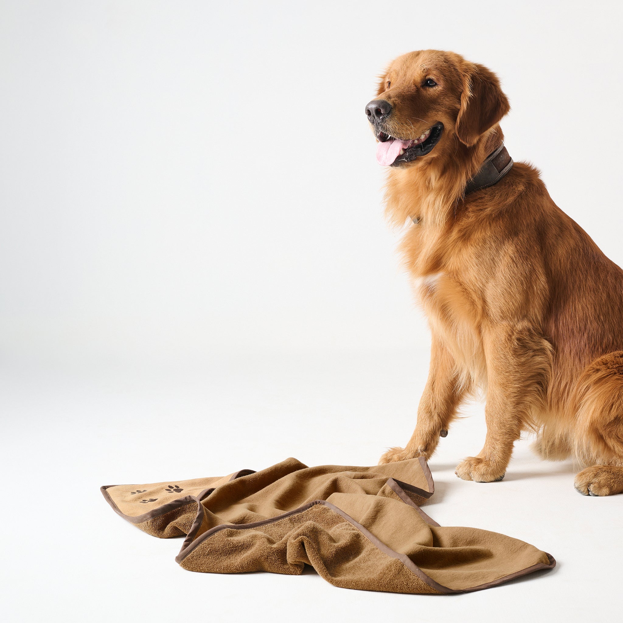Toffee Paws | Cotton | Pet Towel
