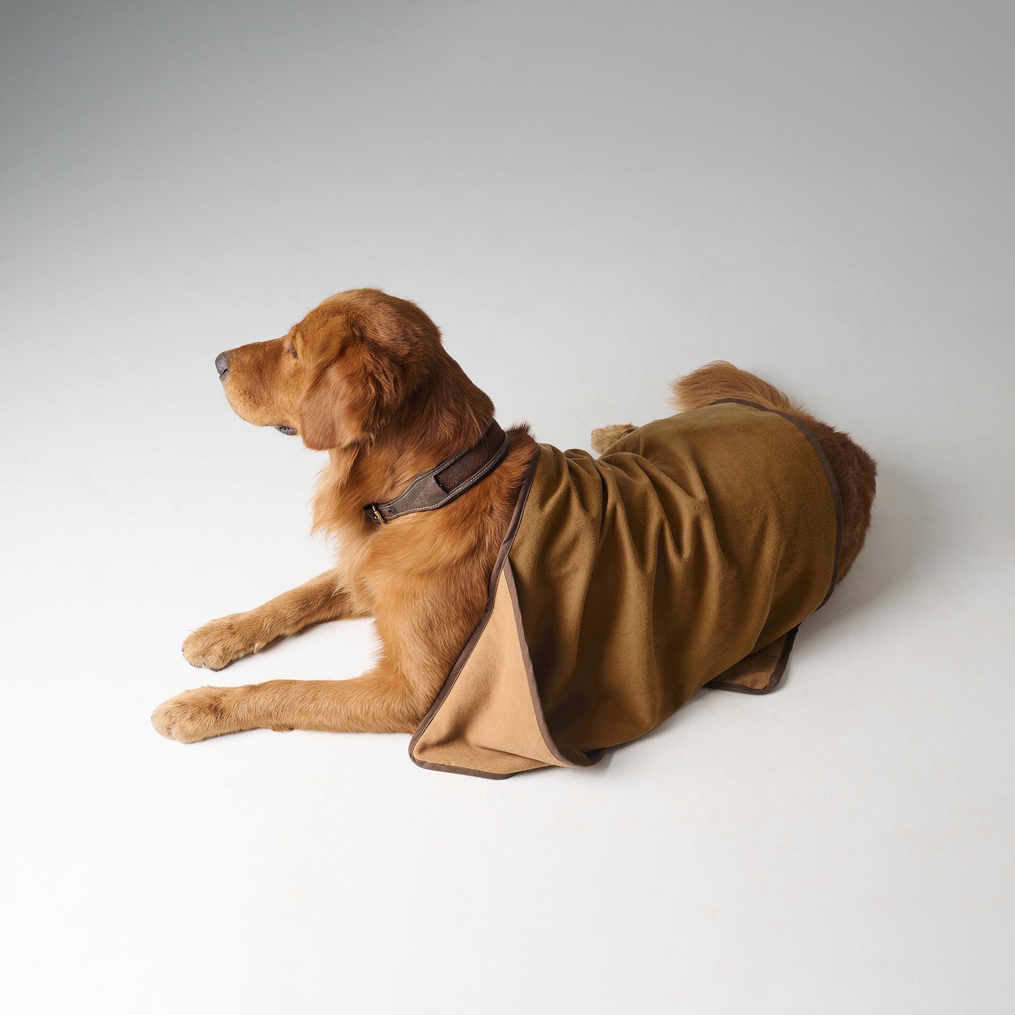 Toffee Paws | Cotton | Pet Towel