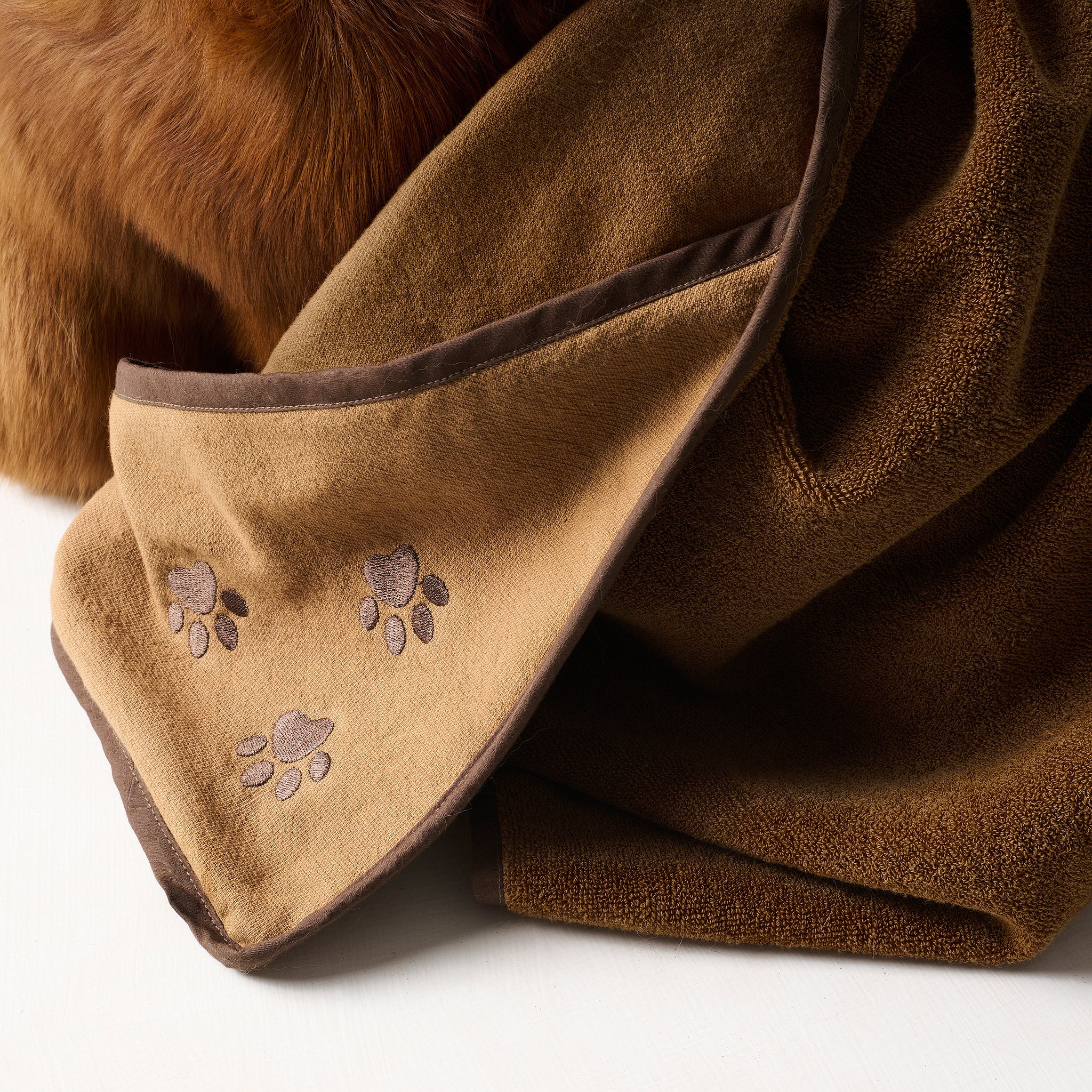 Toffee Paws | Cotton | Pet Towel