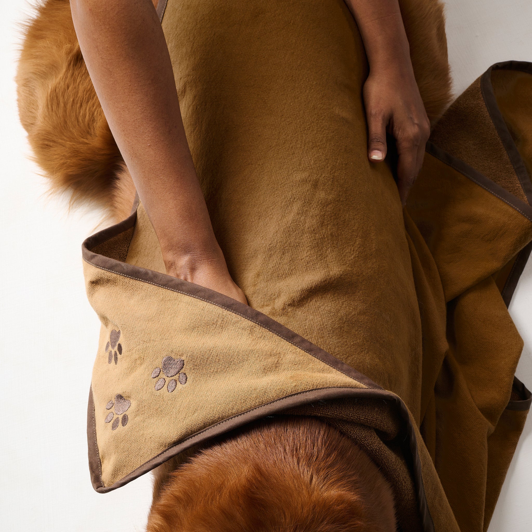 Toffee Paws | Cotton | Pet Towel